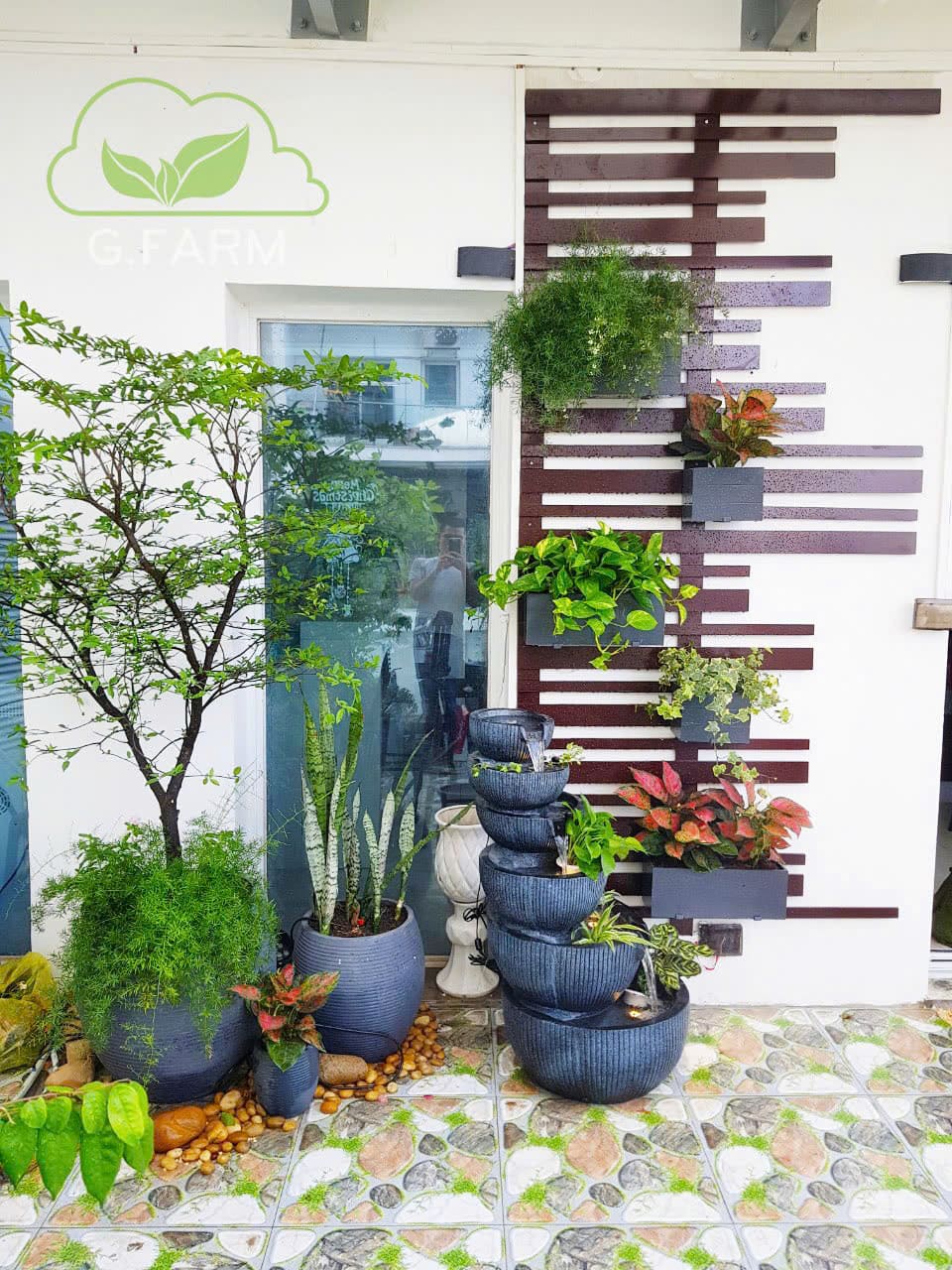 Anh Việt Anh west lake Tây Hồ